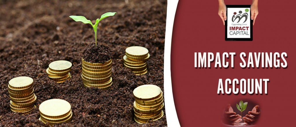 Impact Savings Account: